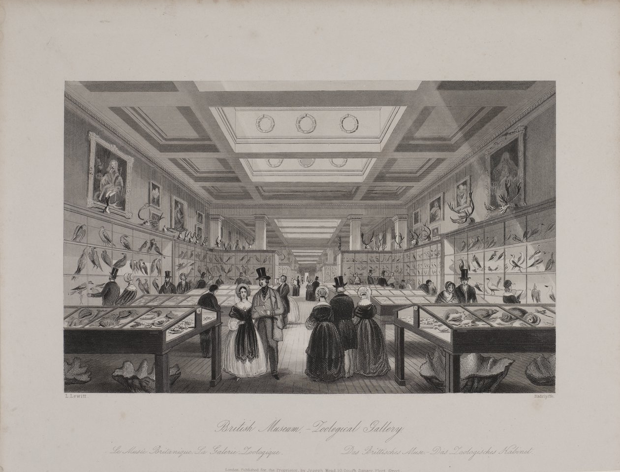Widok Galerii Zoologicznej, British Museum ukazujący zwiedzających patrzących na wystawy, ok. 1850 (rycina) autorstwa Llewellyn (after) Jewitt