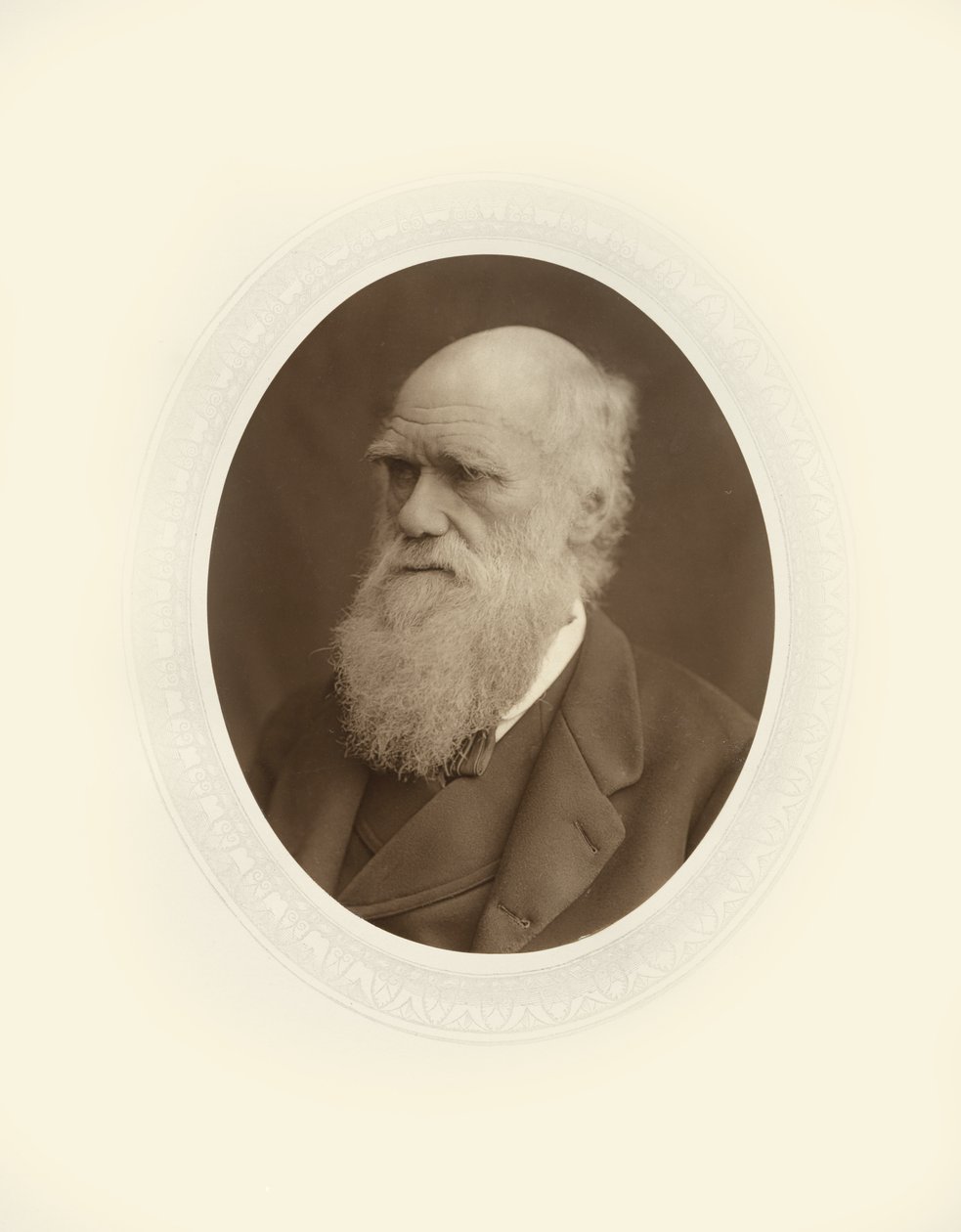 Karol Robert Darwin autorstwa Lock and Whitfield