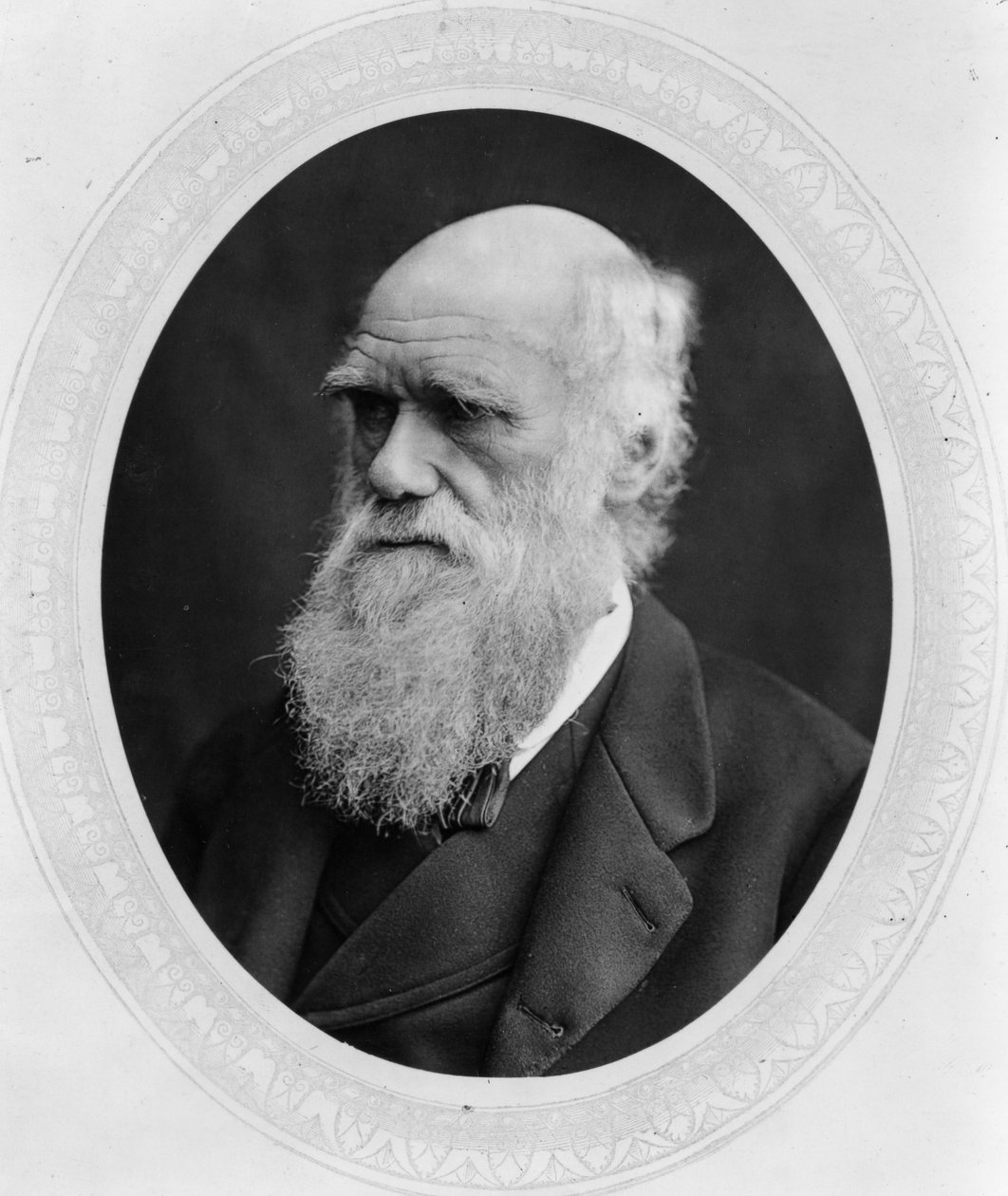 Karol Robert Darwin autorstwa Lock and Whitfield