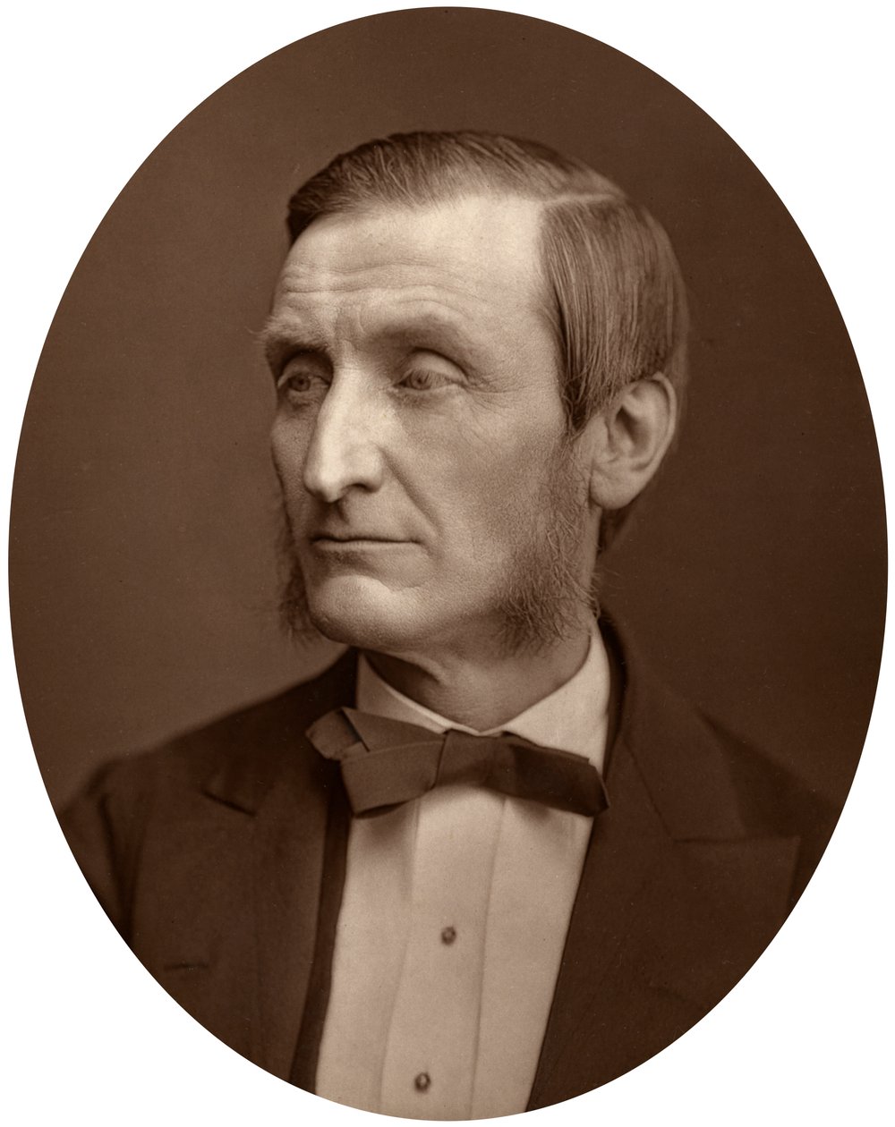 John Hall Gladstone, prezes Towarzystwa Chemicznego, 1880. autorstwa Lock and Whitfield