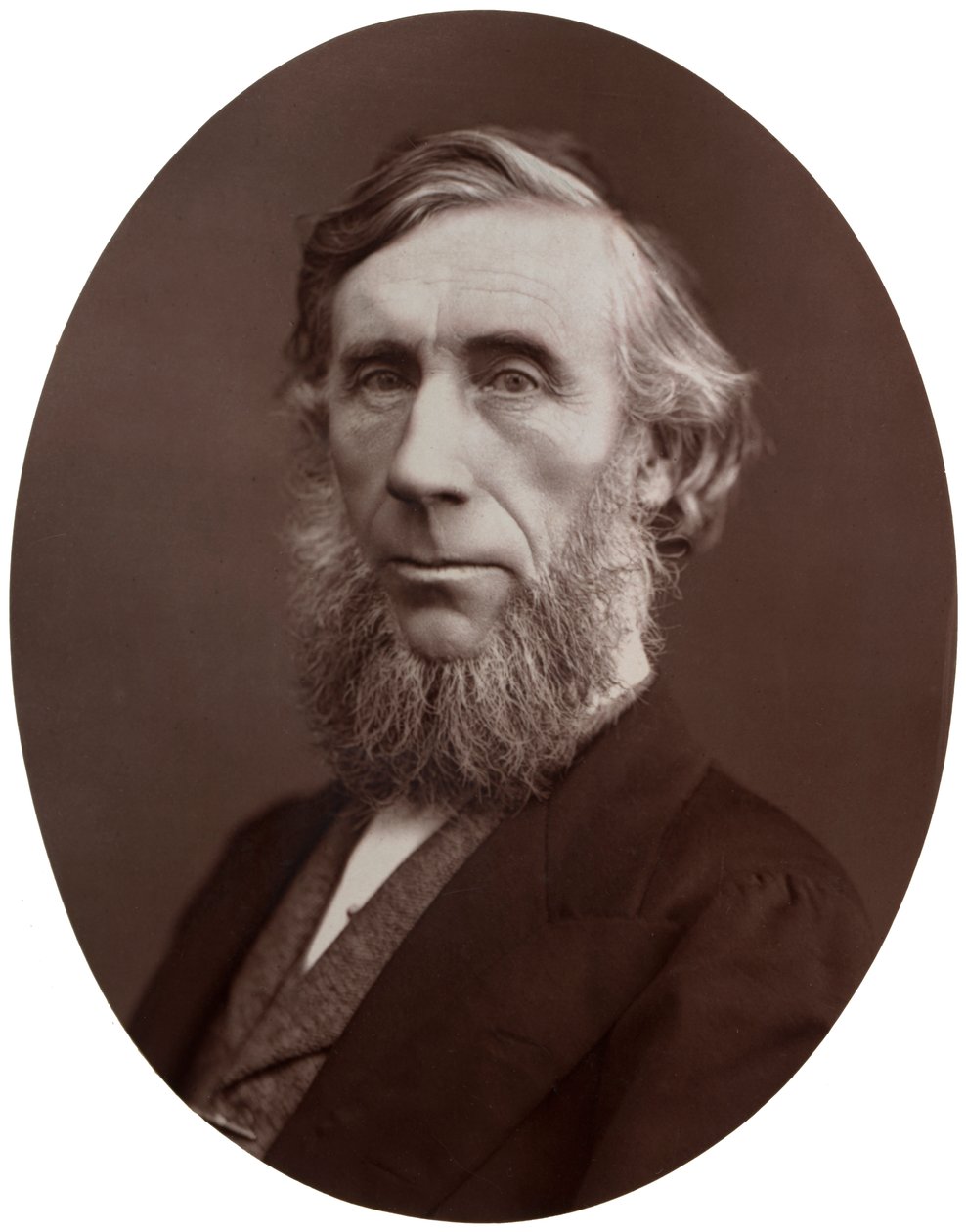 John Tyndall, DCL, LLD, FRS, profesor filozofii naturalnej w Royal Institution, 1877. autorstwa Lock and Whitfield