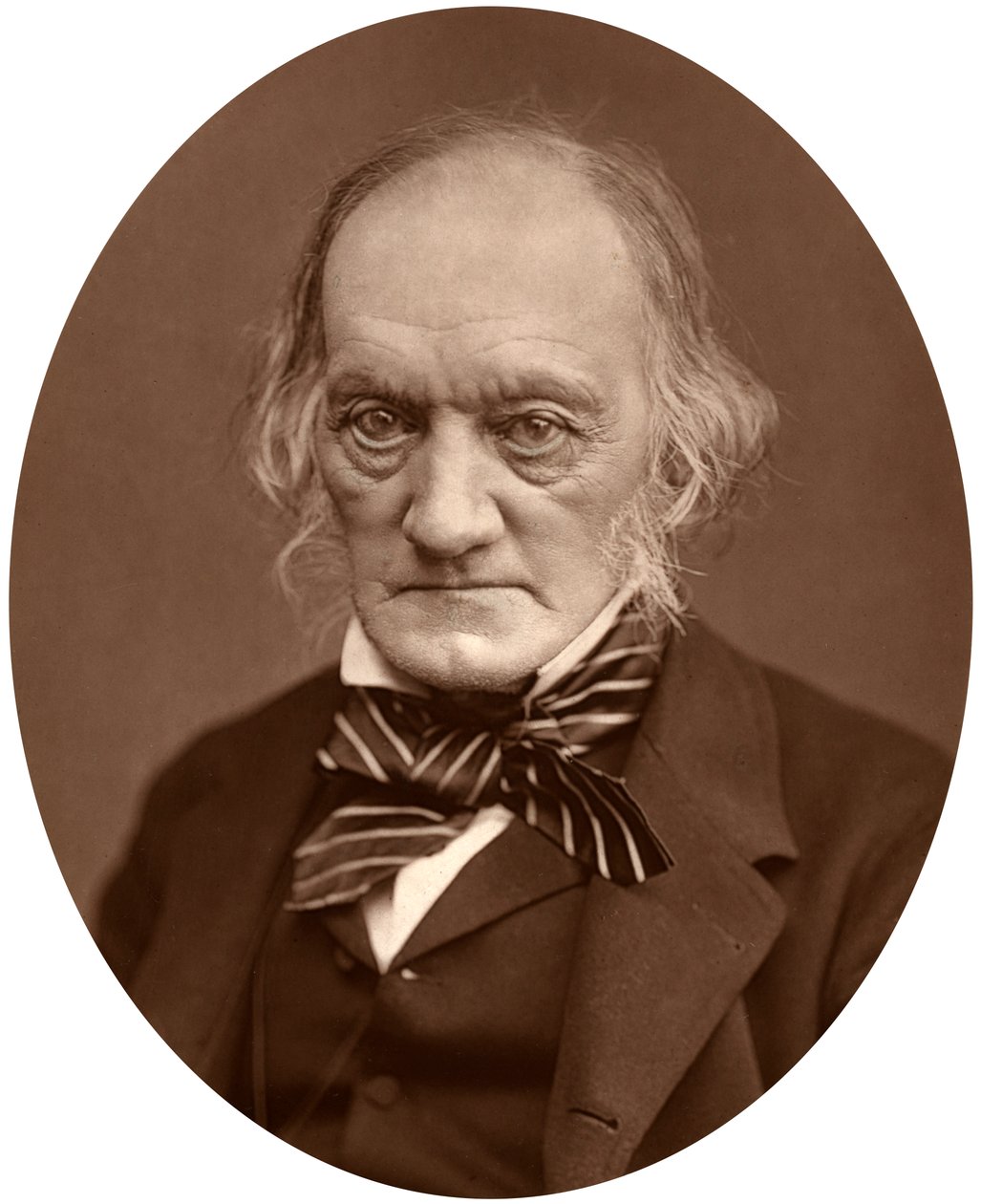 Richard Owen, 1878. autorstwa Lock and Whitfield
