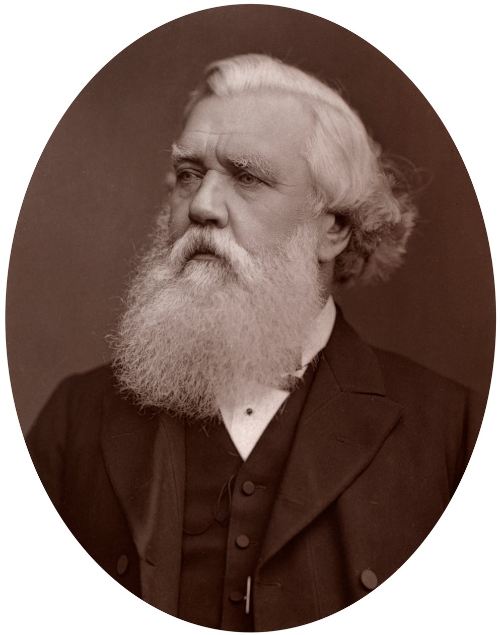 Prawy Hon Austen Henry Layard DCL, brytyjski ambasador w Konstantynopolu, 1877. autorstwa Lock and Whitfield