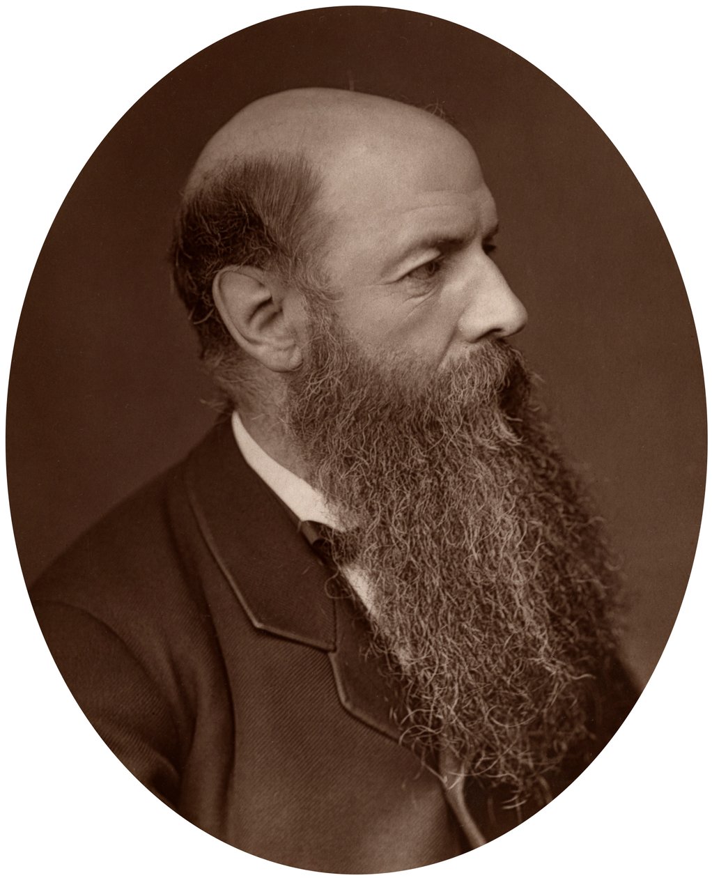 Sir Wilfrid Lawson, polityk, poseł do Carlisle, 1882. autorstwa Lock and Whitfield