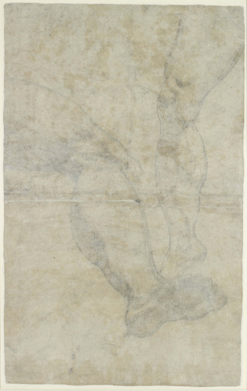 Verso: Badania dwóch par nóg (pióro i brązowy atrament na czarnej kredzie) autorstwa Lodovico Carracci