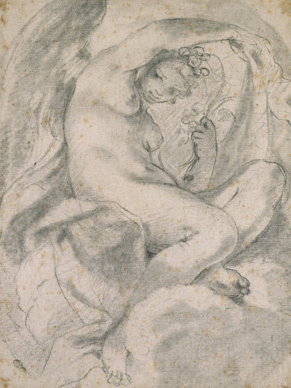 Nimfa (Flora) pośród chmur (czarna kreda z kikutem na papierze w kolorze złamanej bieli) autorstwa Lodovico Carracci
