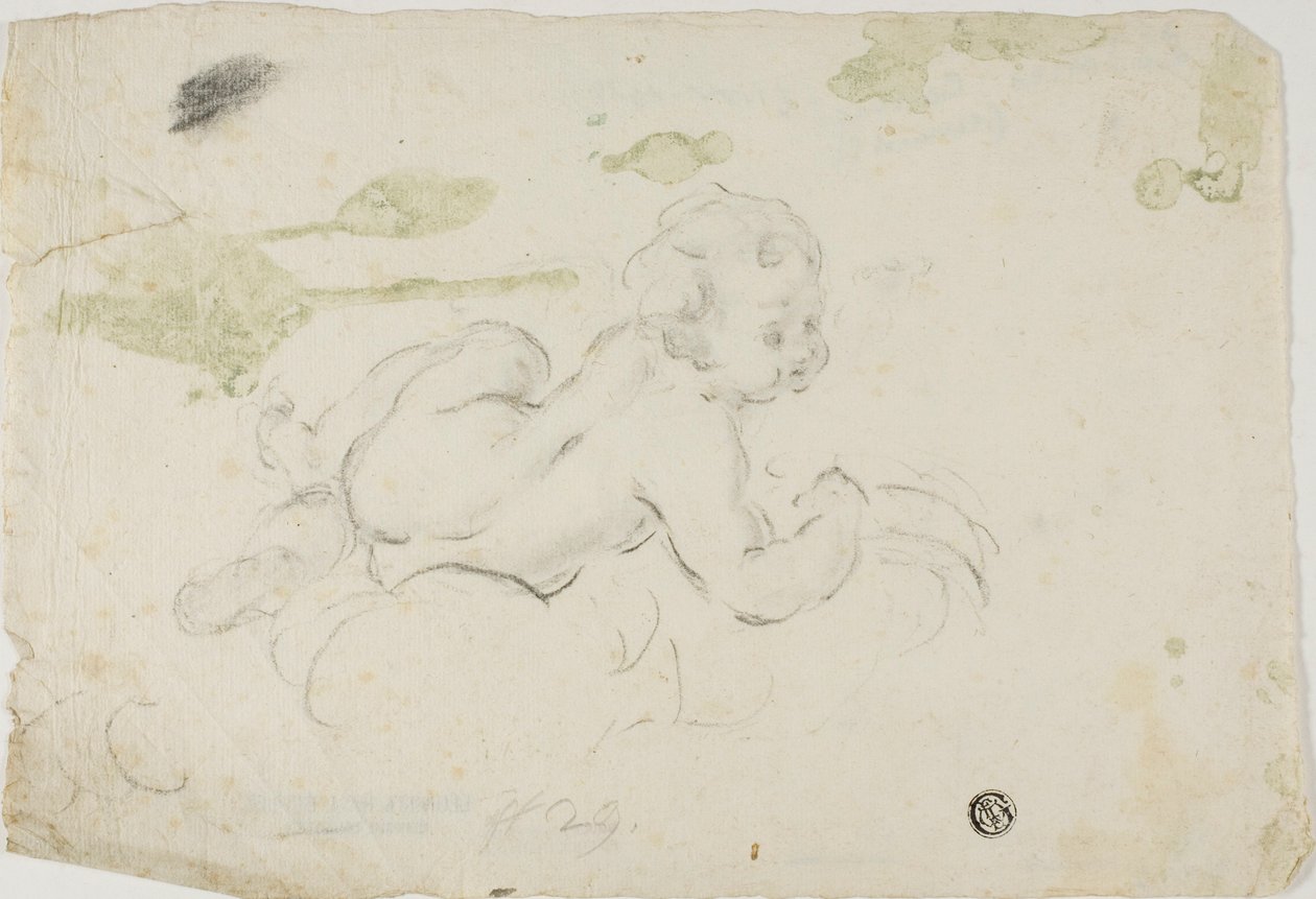 Putto autorstwa Lodovico Carracci