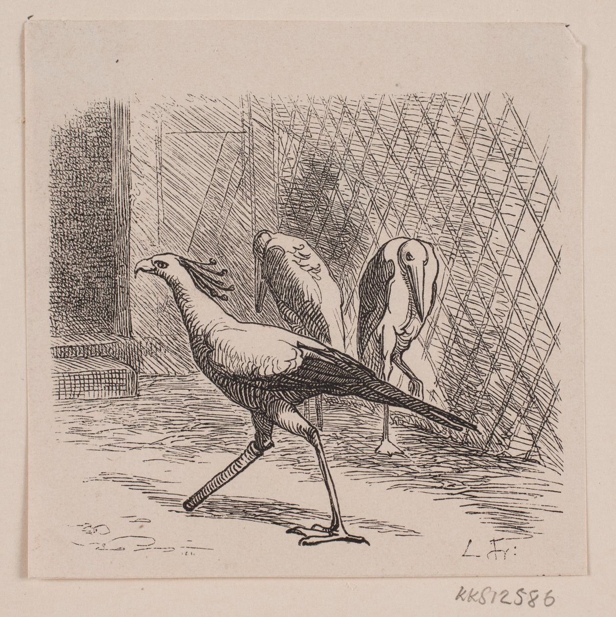 Sekretarz Jardin des Plantes autorstwa Lorenz Frølich