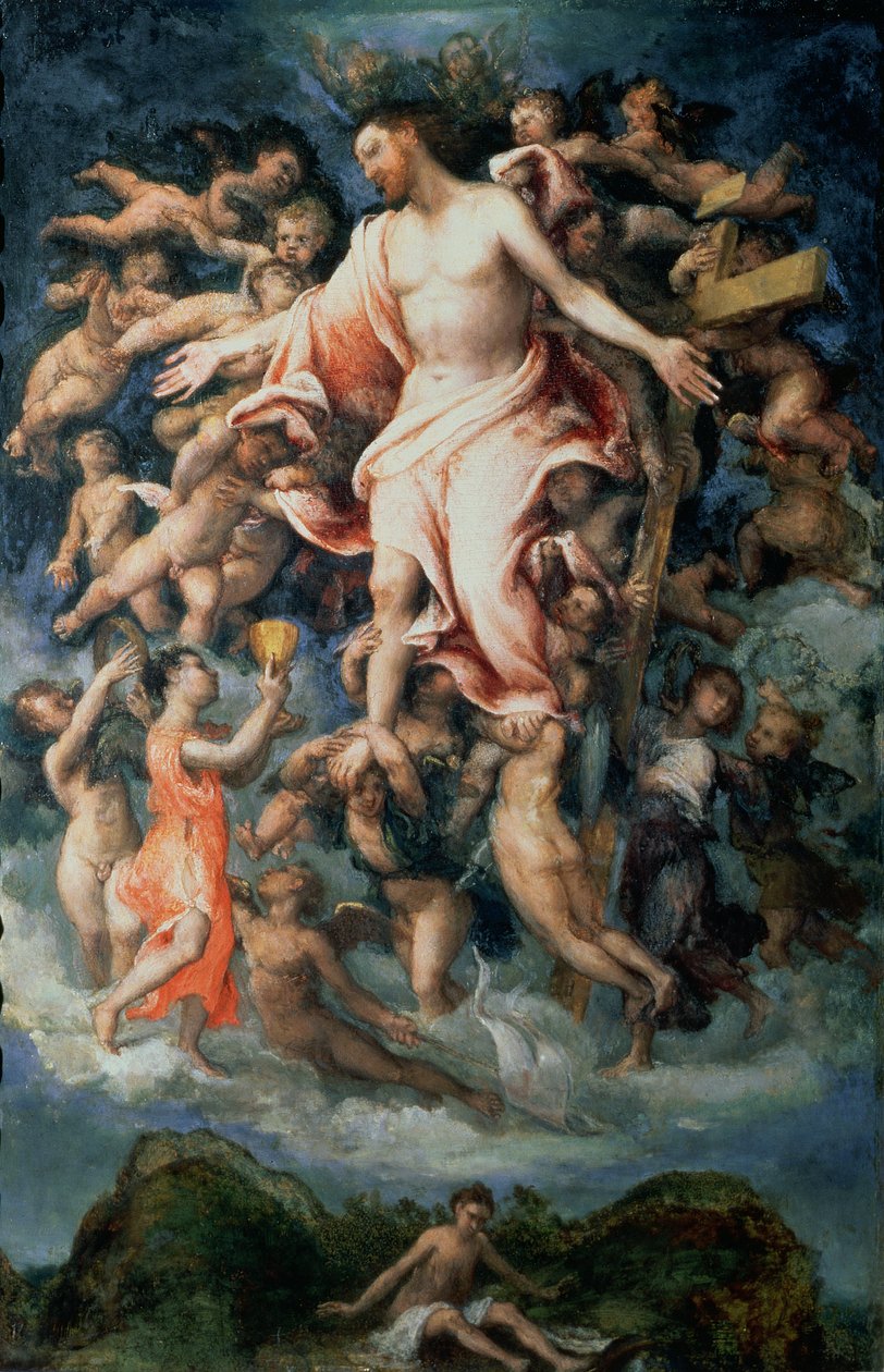 Anioł zbierający krew z ran Chrystusa, 1543 (panel) autorstwa Lorenzo Lotto