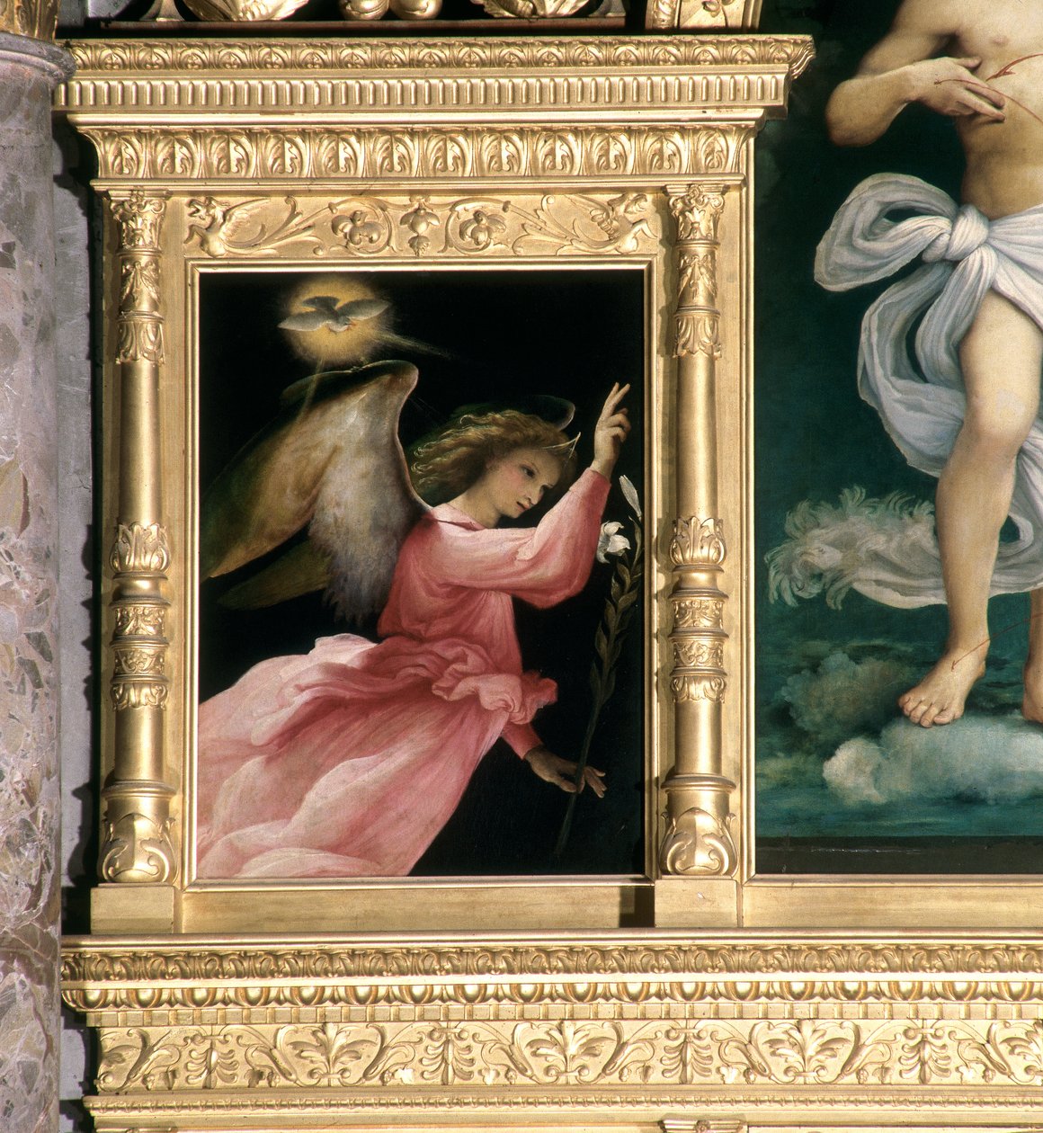 Anioł Zwiastowania, fragment z poliptyku San Giovanni Battista, ok.1525 autorstwa Lorenzo Lotto