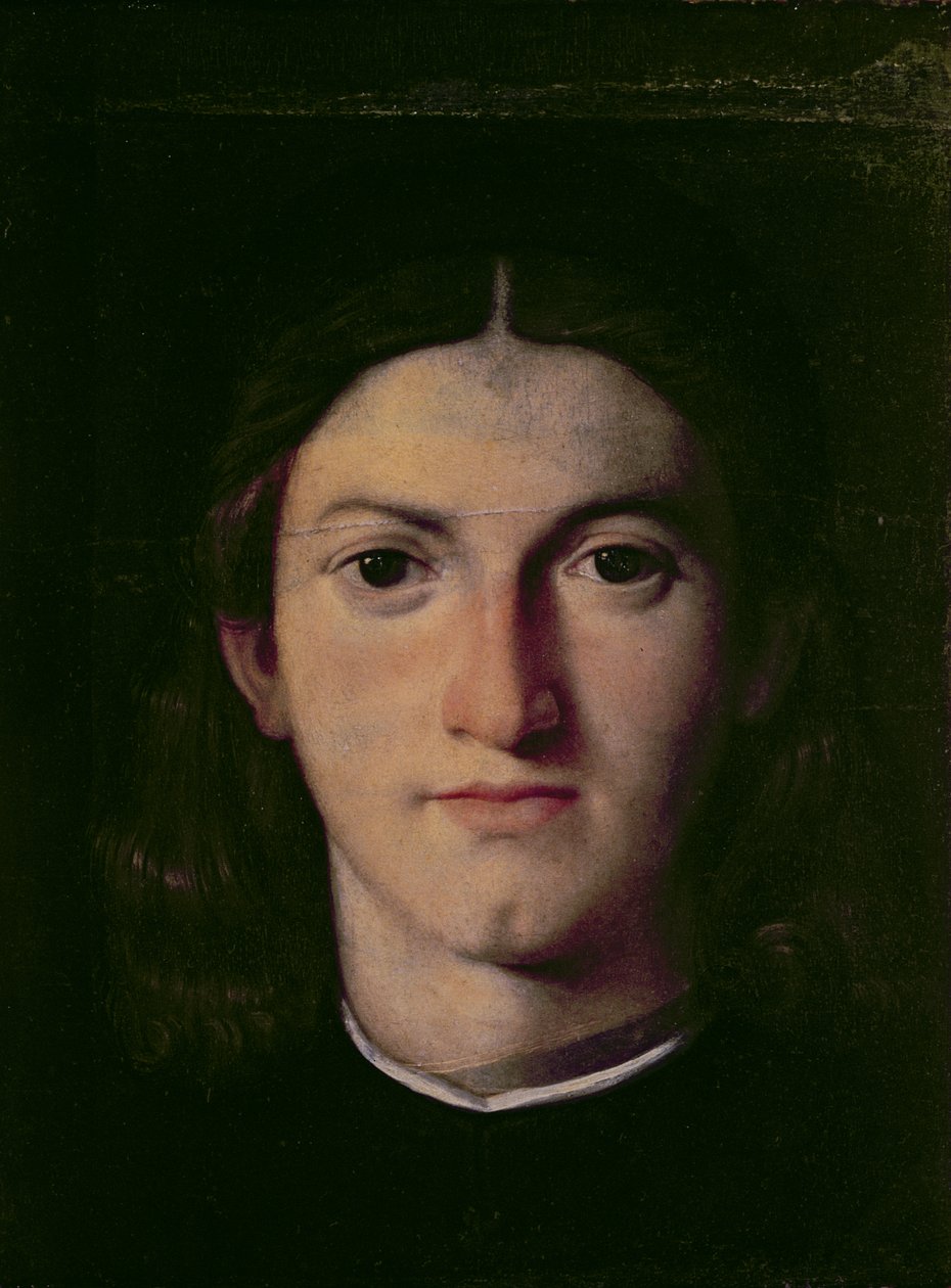 Portret młodzieńca, 1505 (panel) autorstwa Lorenzo Lotto