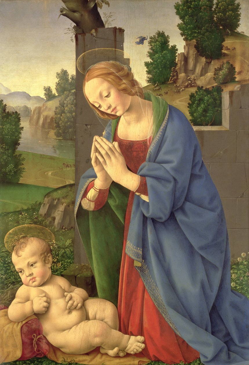 Dziewica Adorująca Dzieciątko, 1490-1500 (olej na desce) autorstwa Lorenzo di Credi