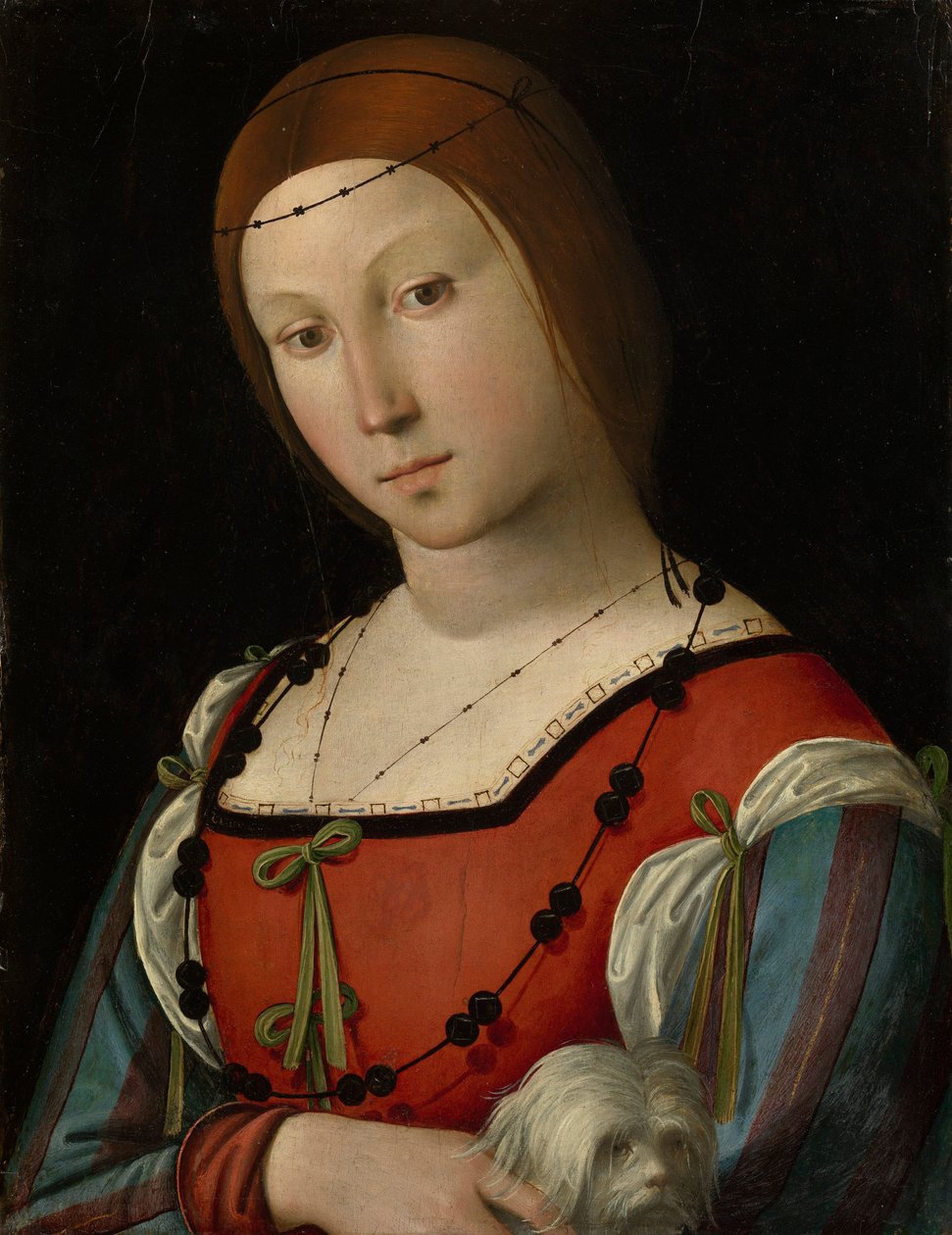 Portret damy z czworonogiem autorstwa Lorenzo Costa