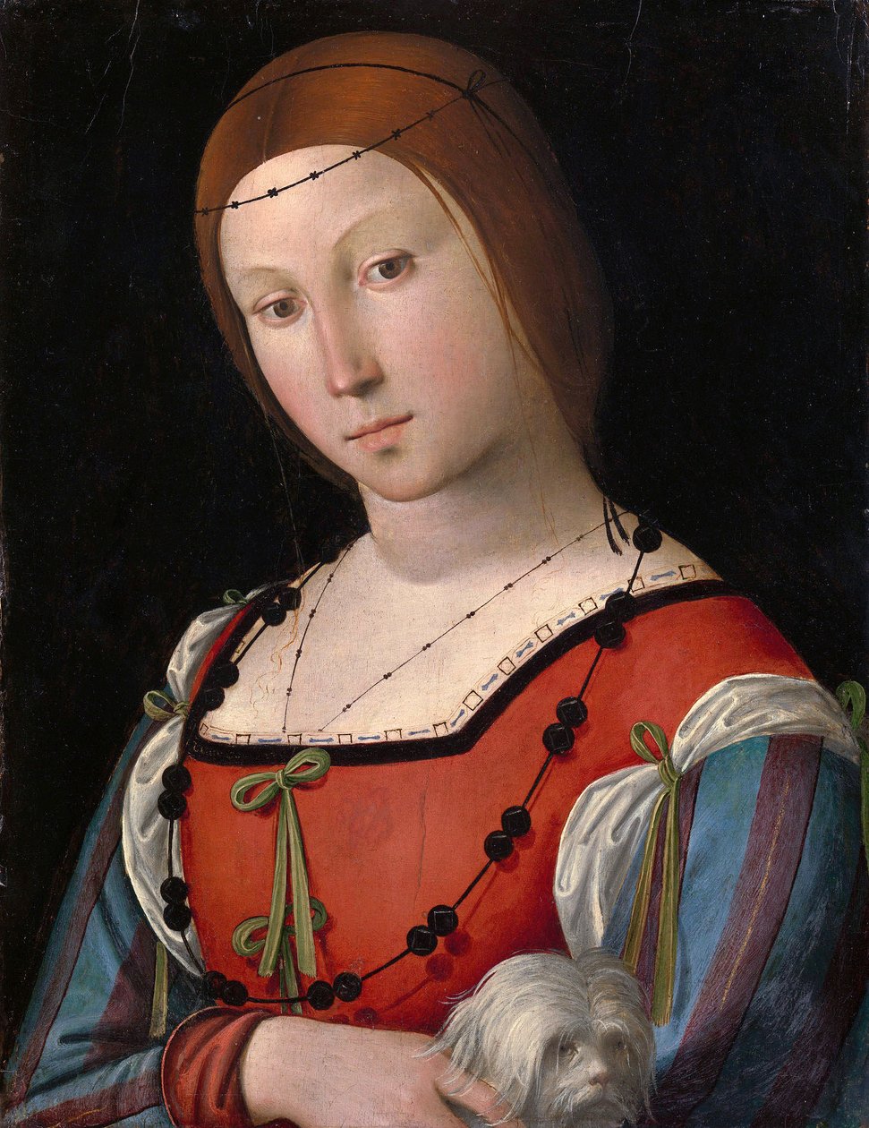 Portret damy z czworonogiem autorstwa Lorenzo Costa