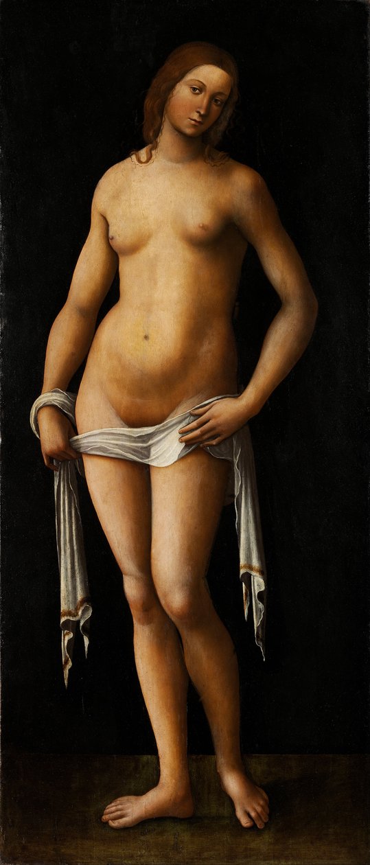 Wenus autorstwa Lorenzo Costa