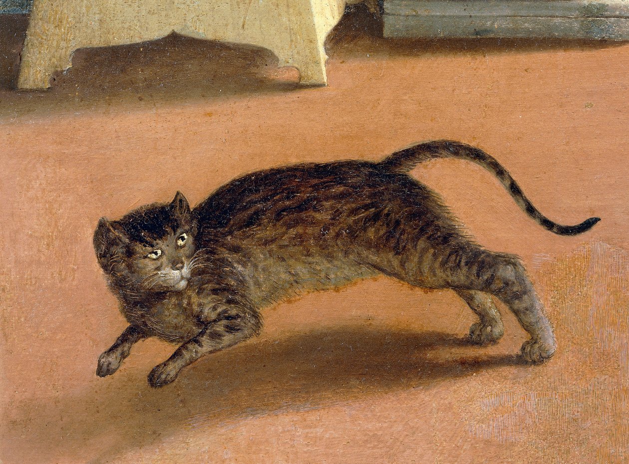 Przerażony kot, fragment Zwiastowania w Recanati, ok. 1534, Lorenzo Lotto (1480-1556), olej na płótnie autorstwa Lorenzo Lotto