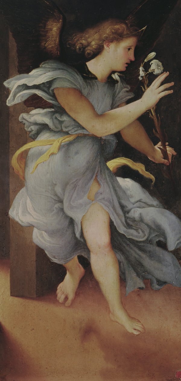 Archanioł Gabriel, lewy panel ze Zwiastowania (patrz także 228514) autorstwa Lorenzo Lotto
