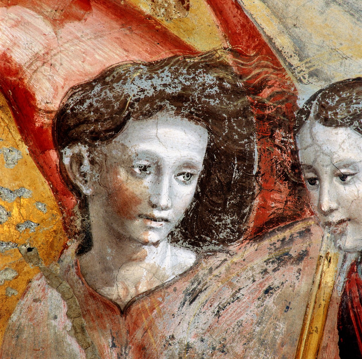 Anioł, fragment obrazu przedstawiający Koronację Matki Boskiej autorstwa Lorenzo Torresani