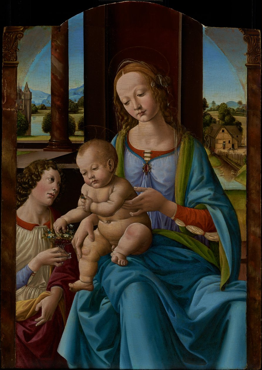 Madonna z Dzieciątkiem autorstwa Lorenzo di Credi (Lorenzo dAndrea dOderigo)