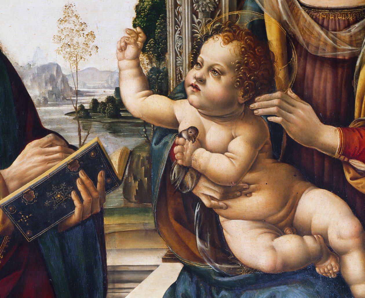 Dzieciątko Jezus, fragment obrazu Madonna z Dzieciątkiem i świętymi autorstwa Lorenzo di Credi