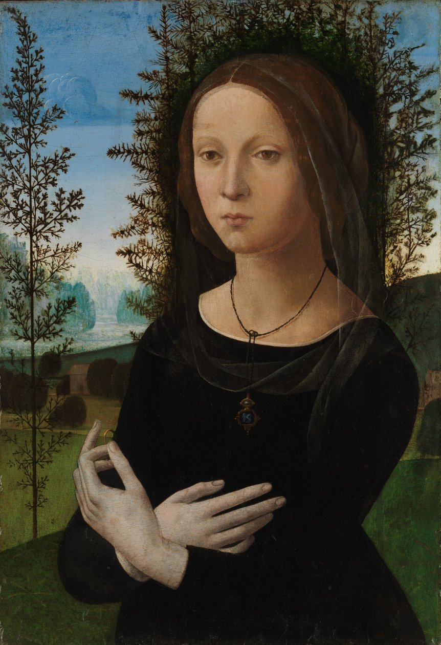 Portret młodej kobiety, ok. 1475-80 (olej na desce) autorstwa Lorenzo di Credi