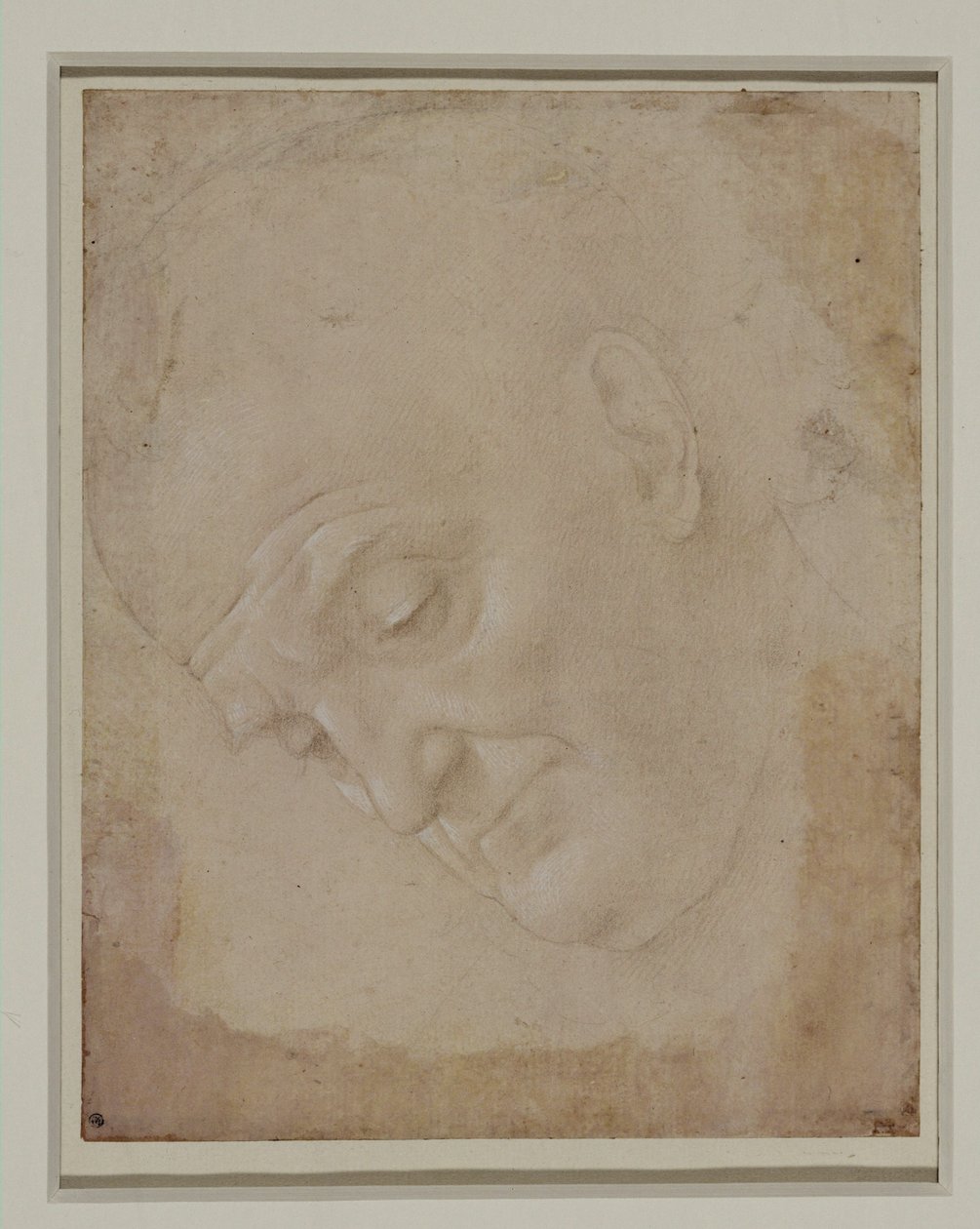 Portret łysego mężczyzny, zwróconego trzy czwarte w lewo ... autorstwa Lorenzo di Credi