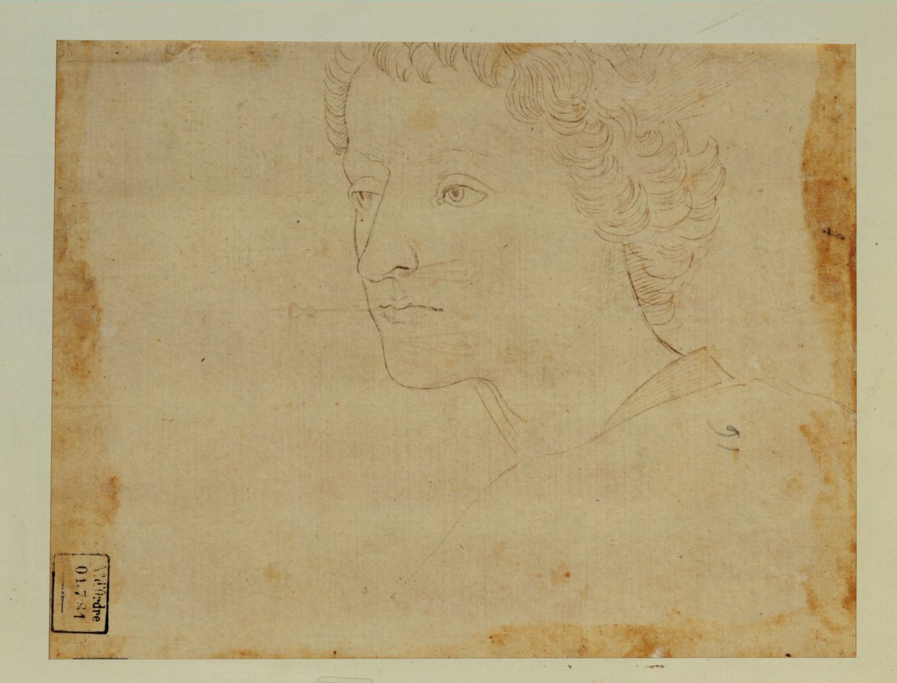 Portret chłopca z kręconymi włosami, trzy czwarte w lewo ... autorstwa Lorenzo di Credi