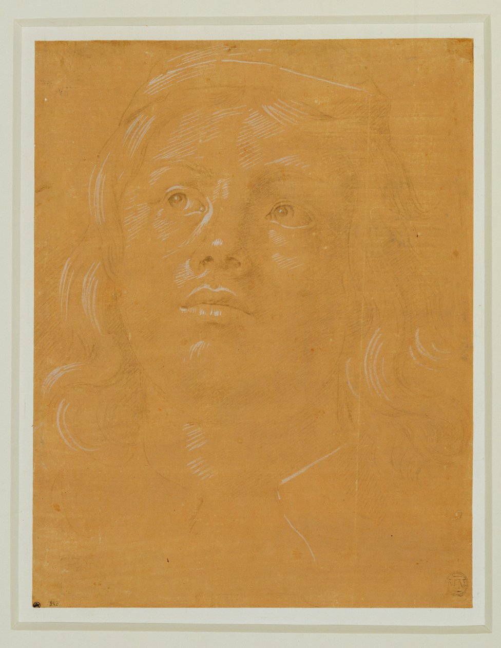 Portret młodego mężczyzny o pełnej twarzy, patrzącego w górę ... autorstwa Lorenzo di Credi