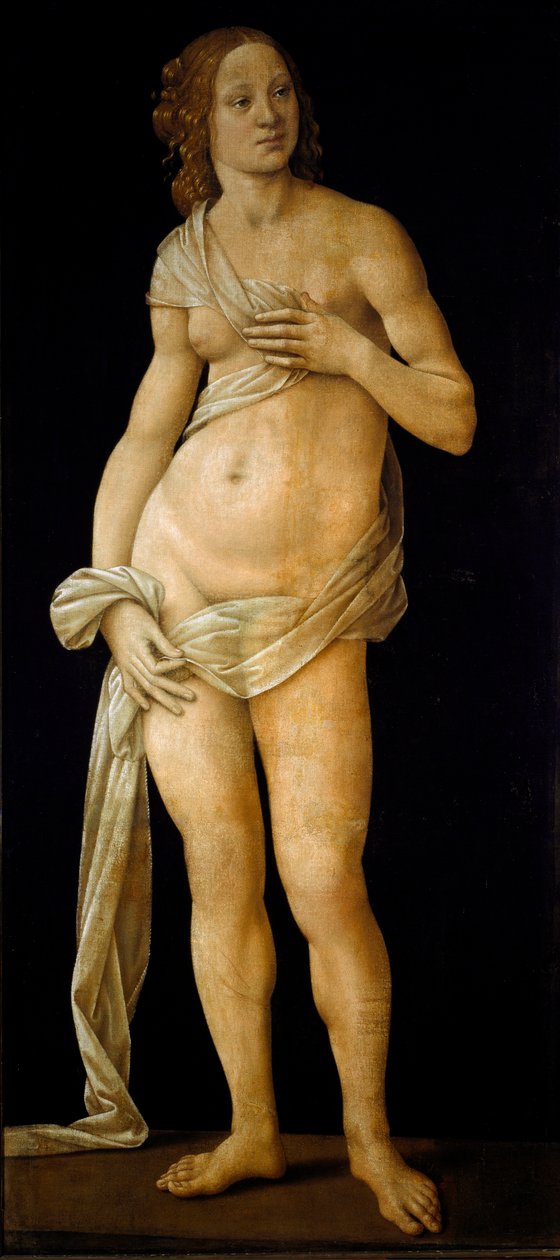 Wenus (tempera na drewnie, ok. 1490) autorstwa Lorenzo di Credi