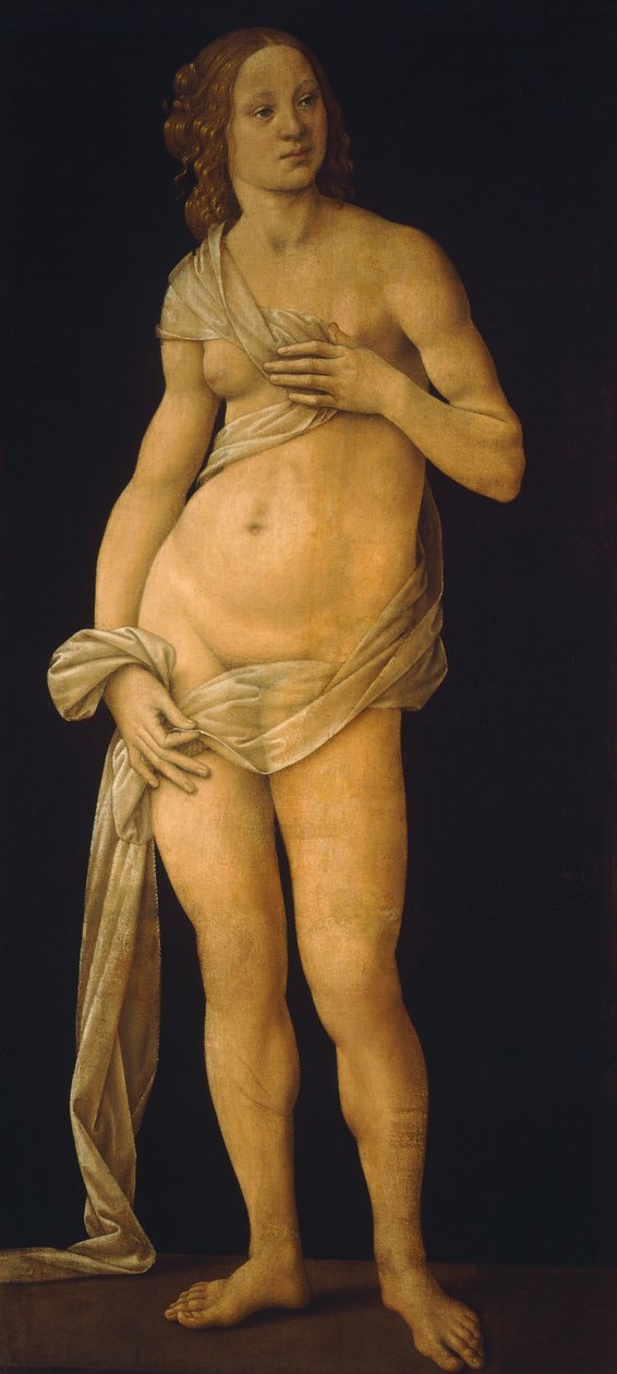 Wenus autorstwa Lorenzo di Credi