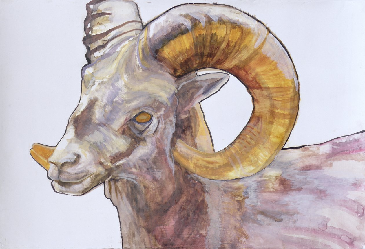 American Long Horn, 2004 (akwarela i akryl na zaprawie na papierze) autorstwa Lou Gibbs