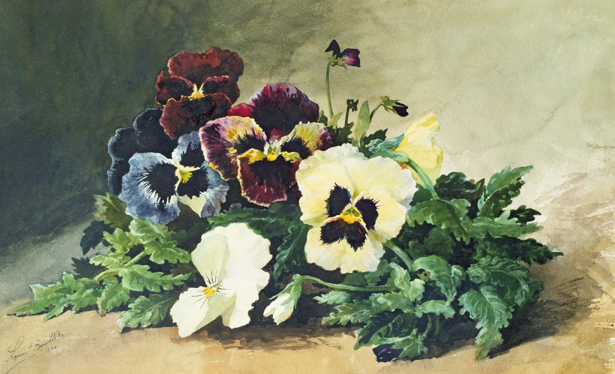 Bratki zimowe, 1884 autorstwa Louis Charles Bombled
