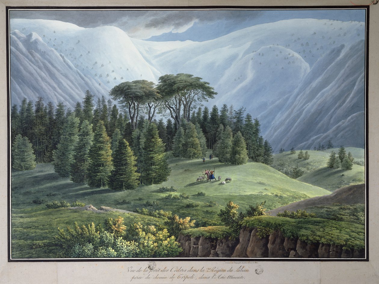Widok na lasy cedrowe Libanu widziane z drogi do Trypolisu, ok. 1800 (tusz i wc na papierze) autorstwa Louis Francois Cassas