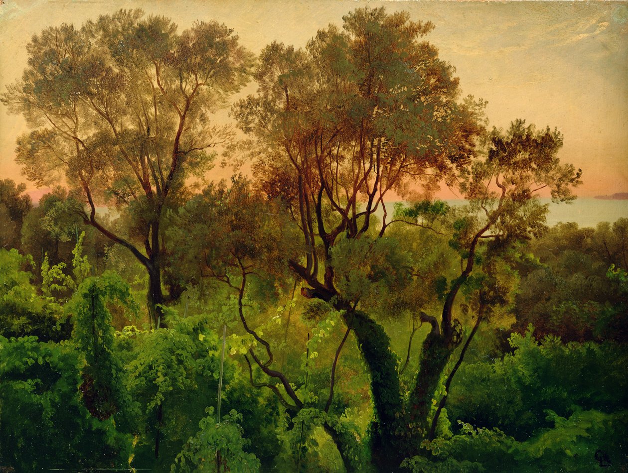 Stok z drzewami oliwnymi (olej na papierze na panelu) autorstwa Louis Gurlitt