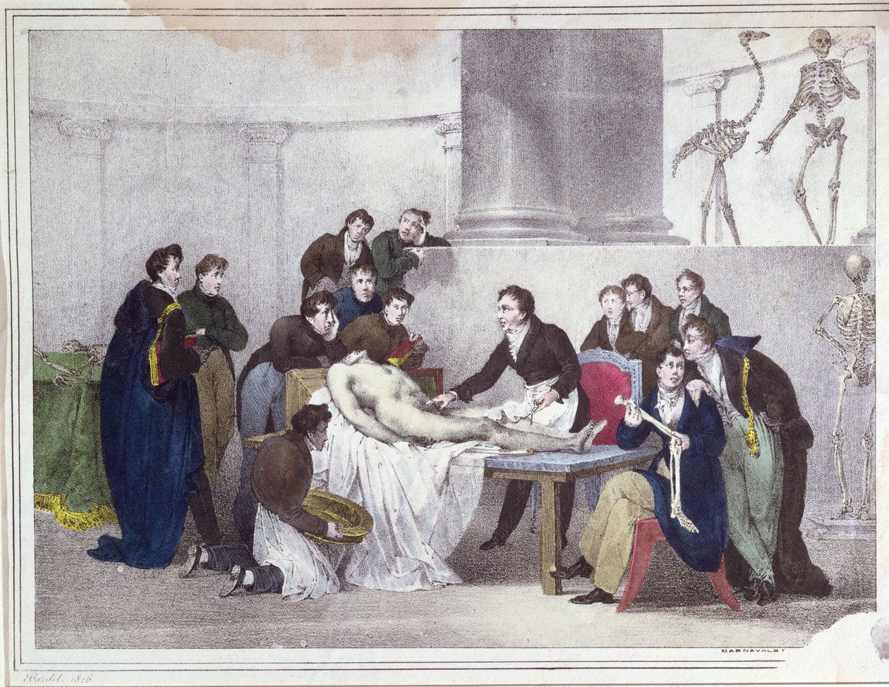 Lekcja anatomii, 1826 autorstwa Louis Thomas Bardel