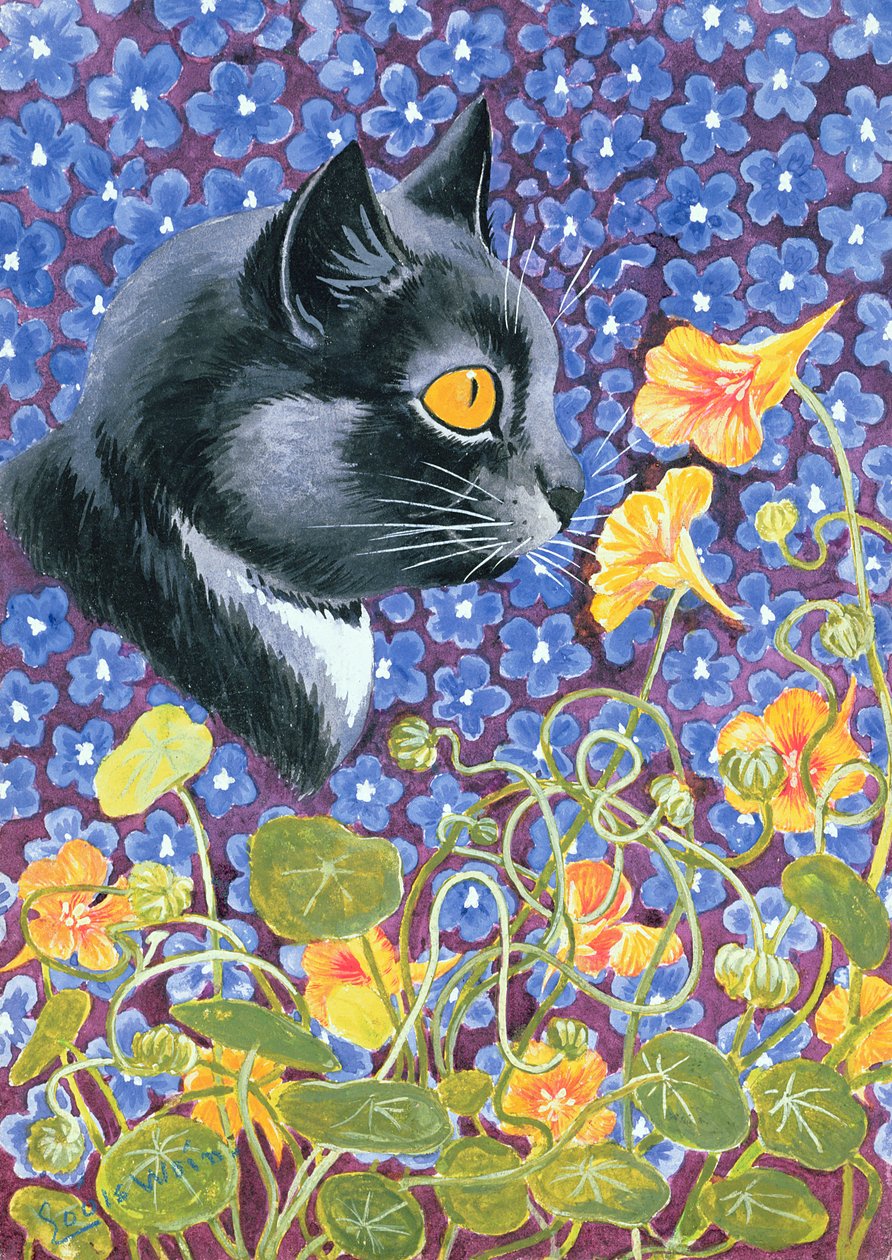 Kot w morzu kwiatów autorstwa Louis Wain