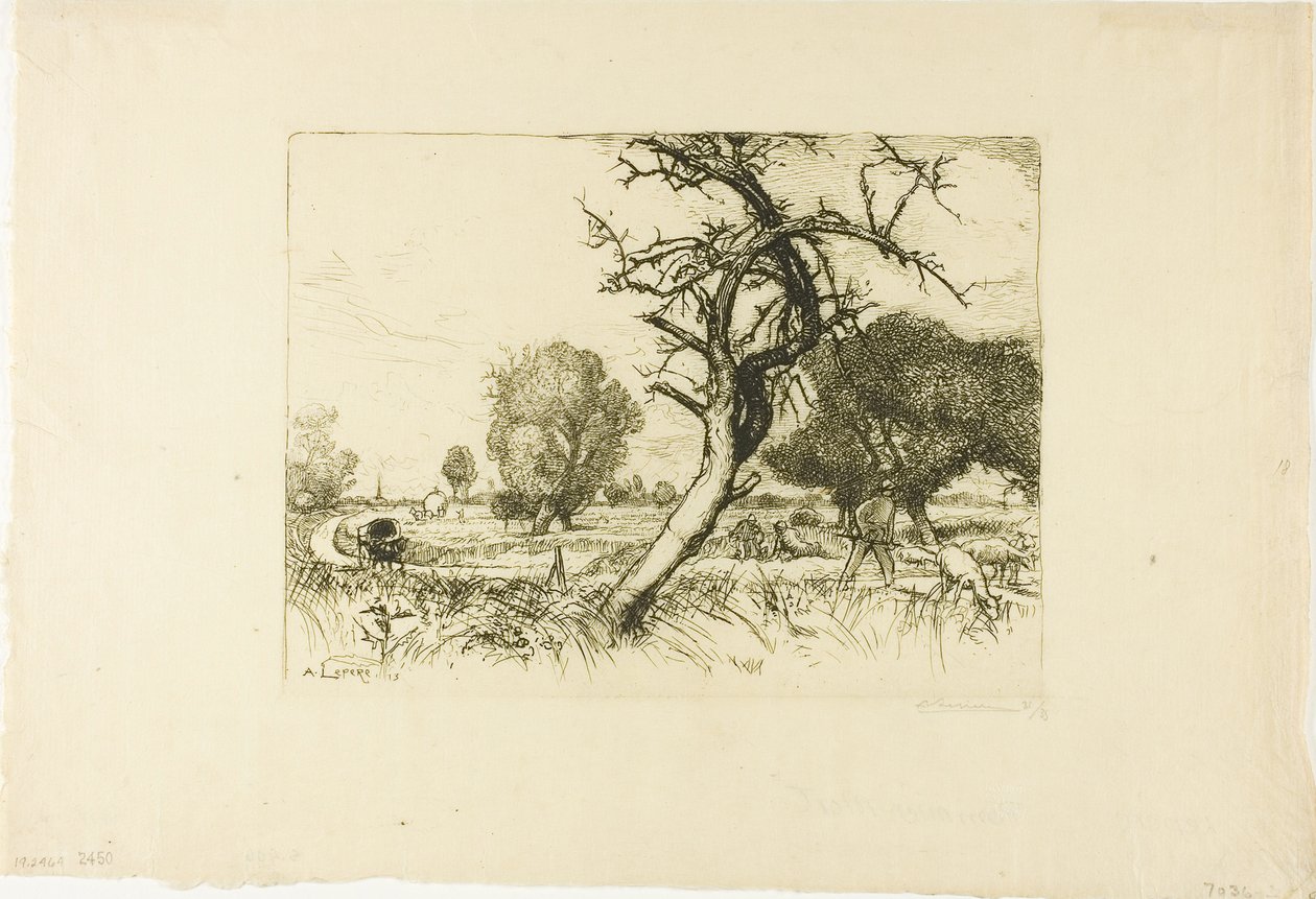 Martwa jabłoń autorstwa Louis Auguste Lepère
