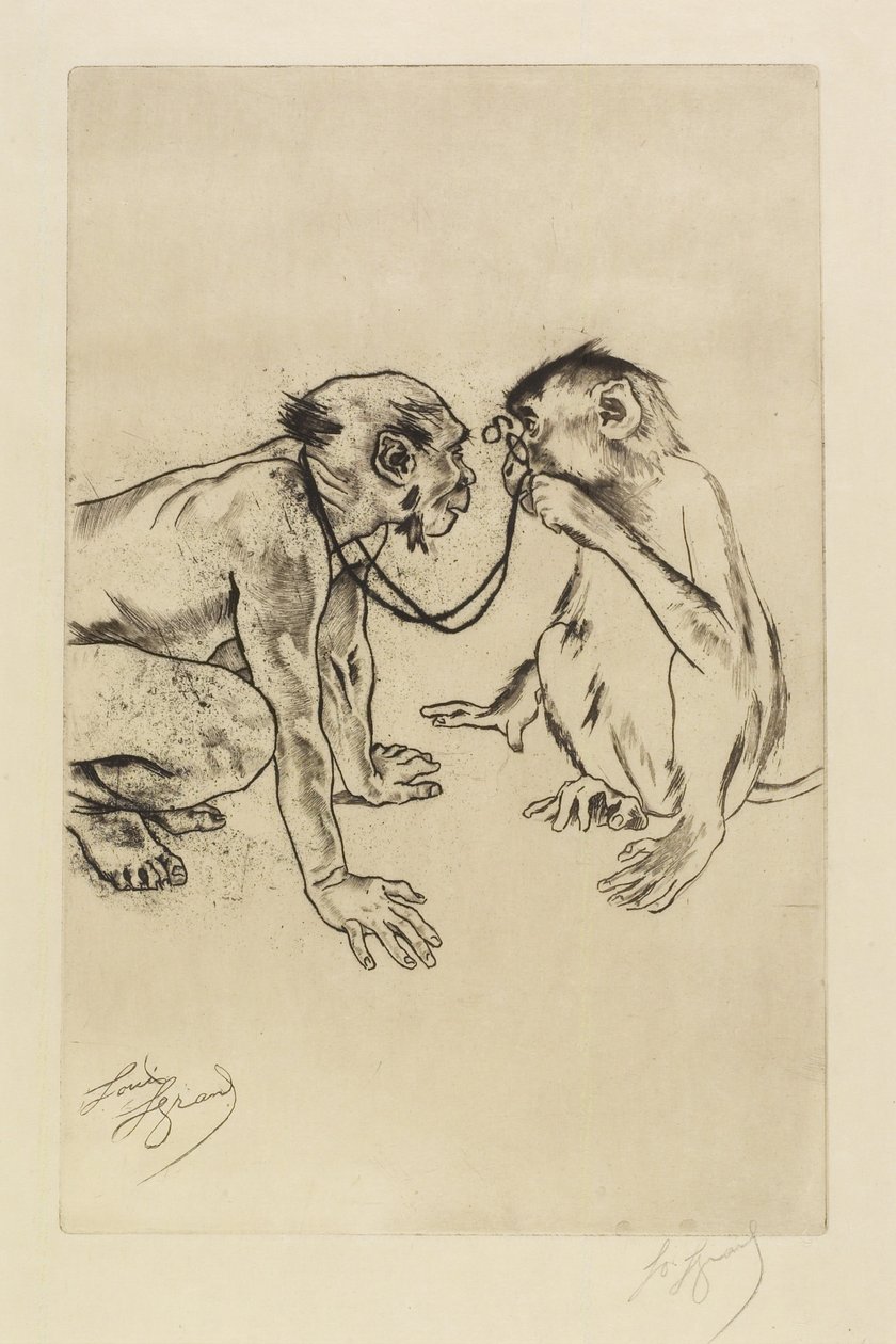 Anatomia porównawcza autorstwa Louis Auguste Mathieu Legrand