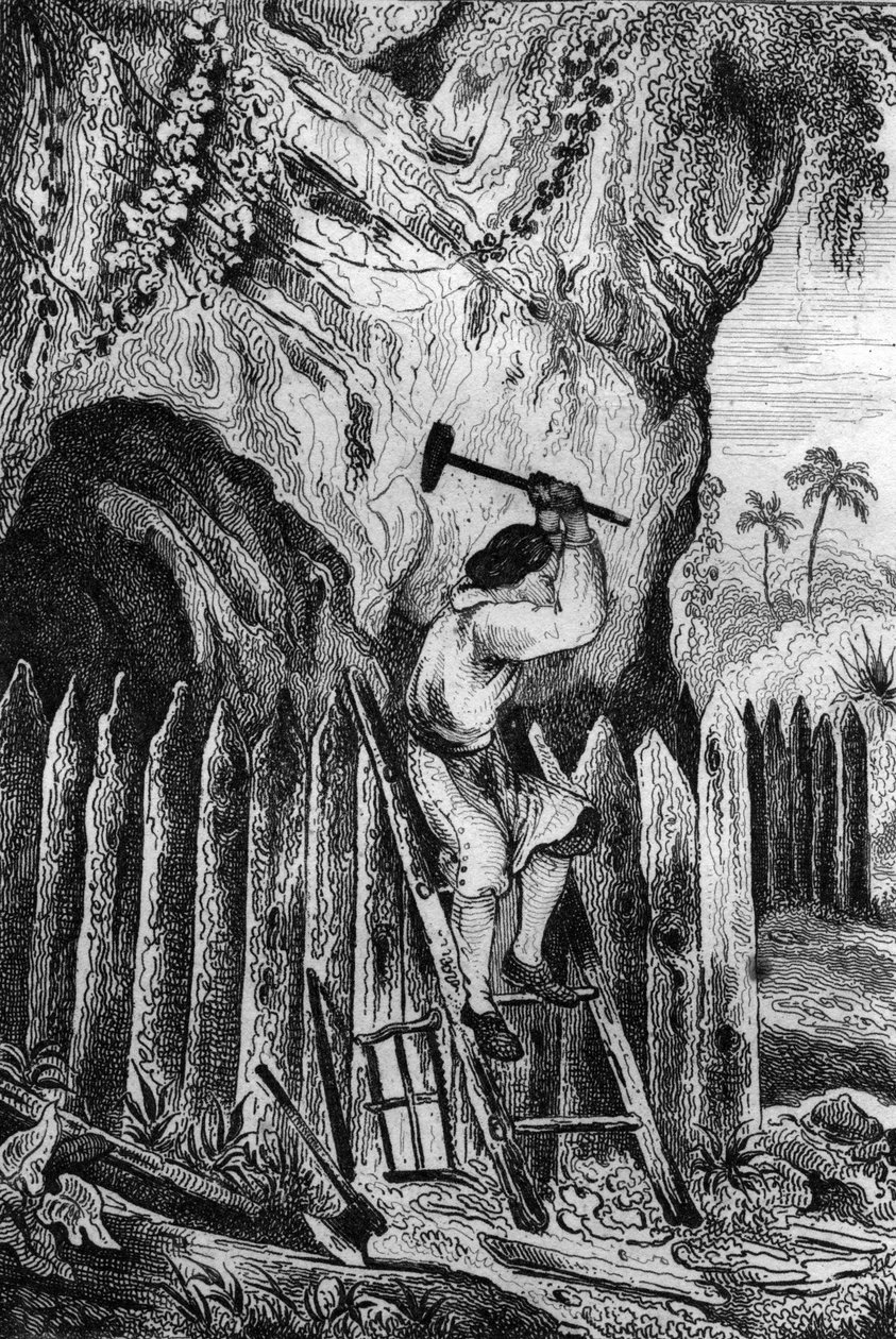 Posadziłem dziesięć rzędów palisad. grawerowanie według rysunku M. de Sainsona do Księgi Daniela Defoe (De foe) „Robinson Crusoe”” wydanie francuskie z 1837 r. autorstwa Louis Auguste de Sainson
