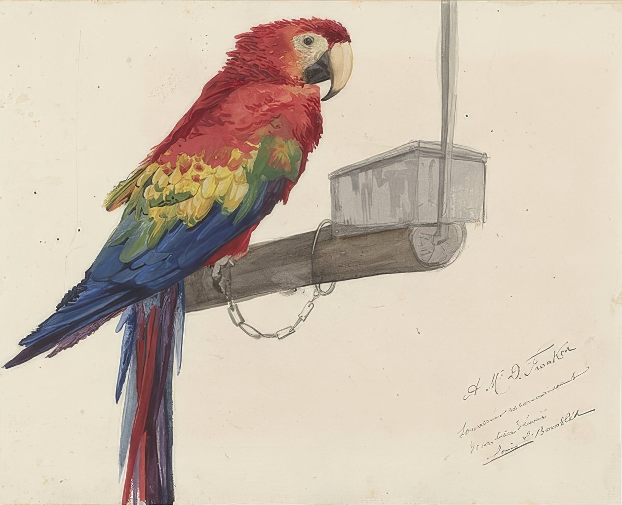 Papagei. 1879 autorstwa Louis Charles Bombled