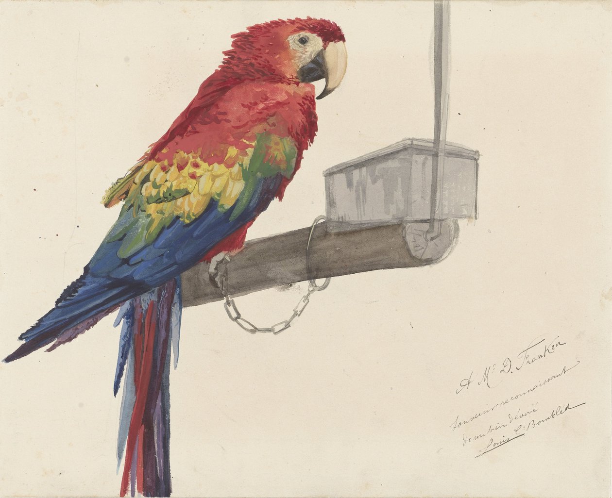 Papuga autorstwa Louis Charles Bombled