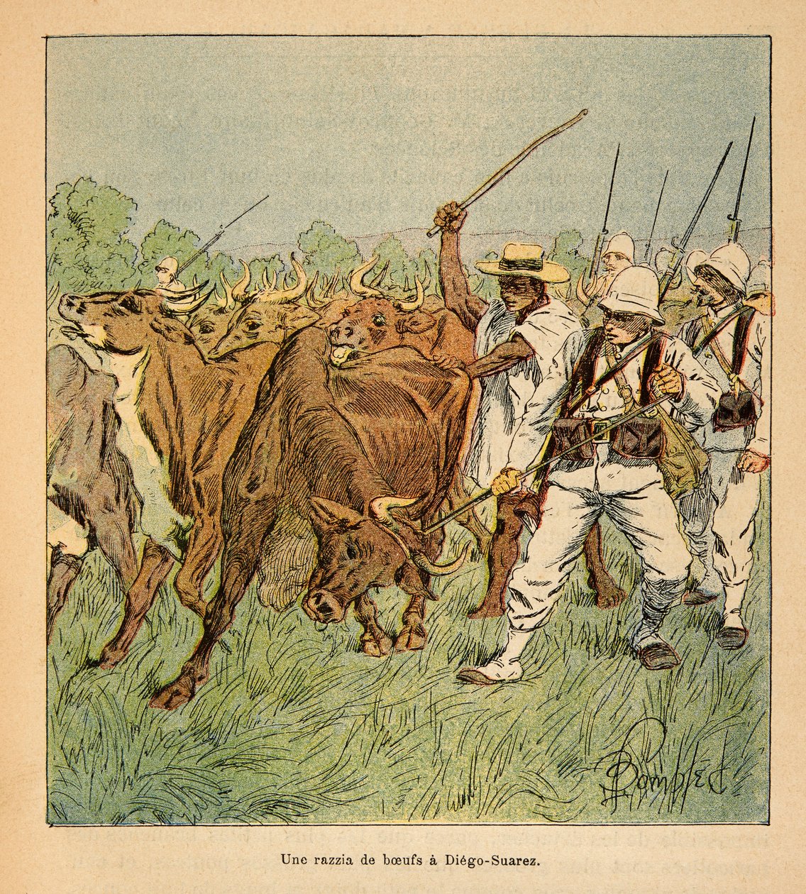 Wojna na Madagaskarze-Anegdota Historia francuskich ekspedycji 1885-1895 Henri Galli dit Galllichet (1854-1922), ilustracja Louis Bombled (1862-1927): W Diego-Suarez armia francuska żąda wołów, zbiory prywatne autorstwa Louis Charles Bombled