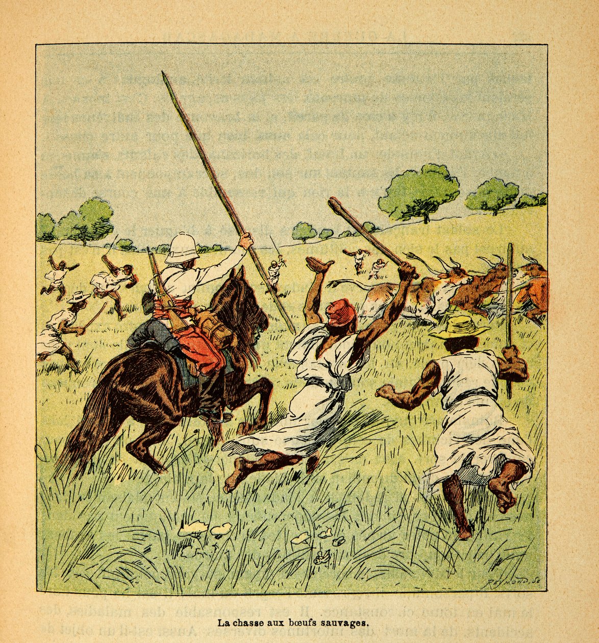 Wojna na Madagaskarze – anegdotyczna historia francuskich ekspedycji z lat 1885-1895 Henri Galli dit Galllichet (1854-1922), zilustrowana przez Louisa Bombleda (1862-1927): Polowanie na dzikie woły na Madagaskarze w 1895 roku, kolekcja prywatna autorstwa Louis Charles Bombled