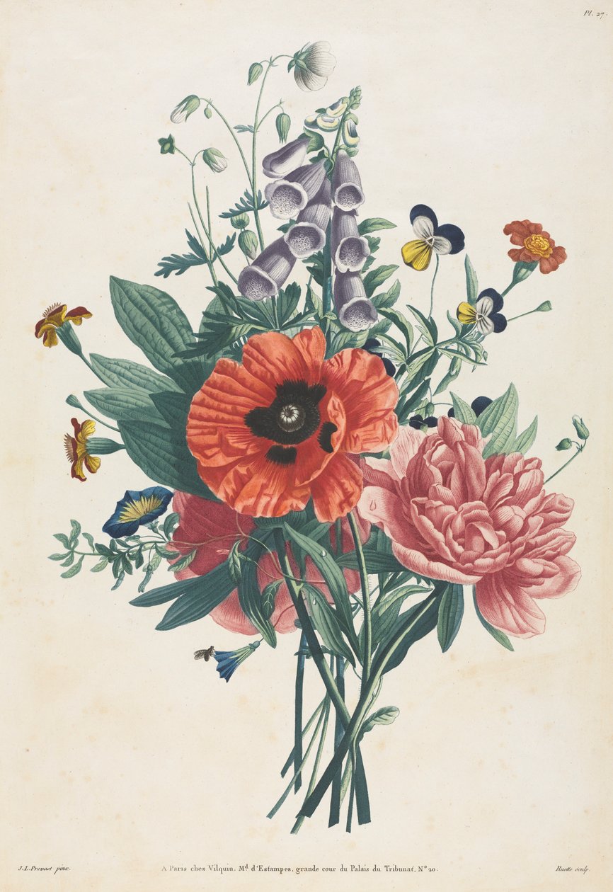 Kolekcja kwiatów i owoców malowanych według natury: Bukiet naparstnicy, Clematis..., 1805. autorstwa Louis Charles Ruotte