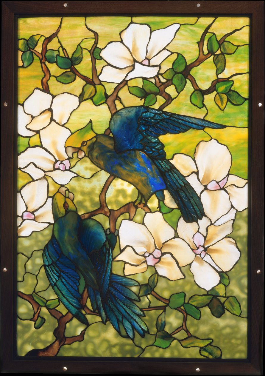 Hibiskus i papugi, ok. 1910-20 (szkło kruche ołowiowe) autorstwa Louis Comfort Tiffany
