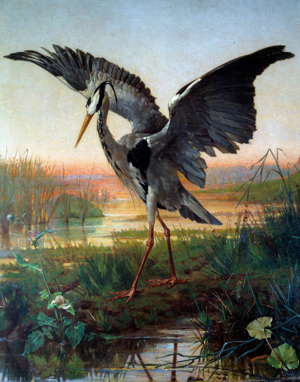 Czapla. Ilustracja do bajki „Czapla i ślimak” Jeana de La Fontaine autorstwa Louis Emile Villa