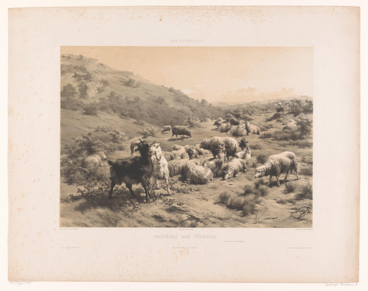 Pasterka z kozami i owcami w Pirenejach Bruyeres des Pyrenees (tytuł na obiekcie) Pastwiska (tytuł serii) Les paturages (tytuł serii na obiekcie) autorstwa Louis Emmanuel Soulange Teissier
