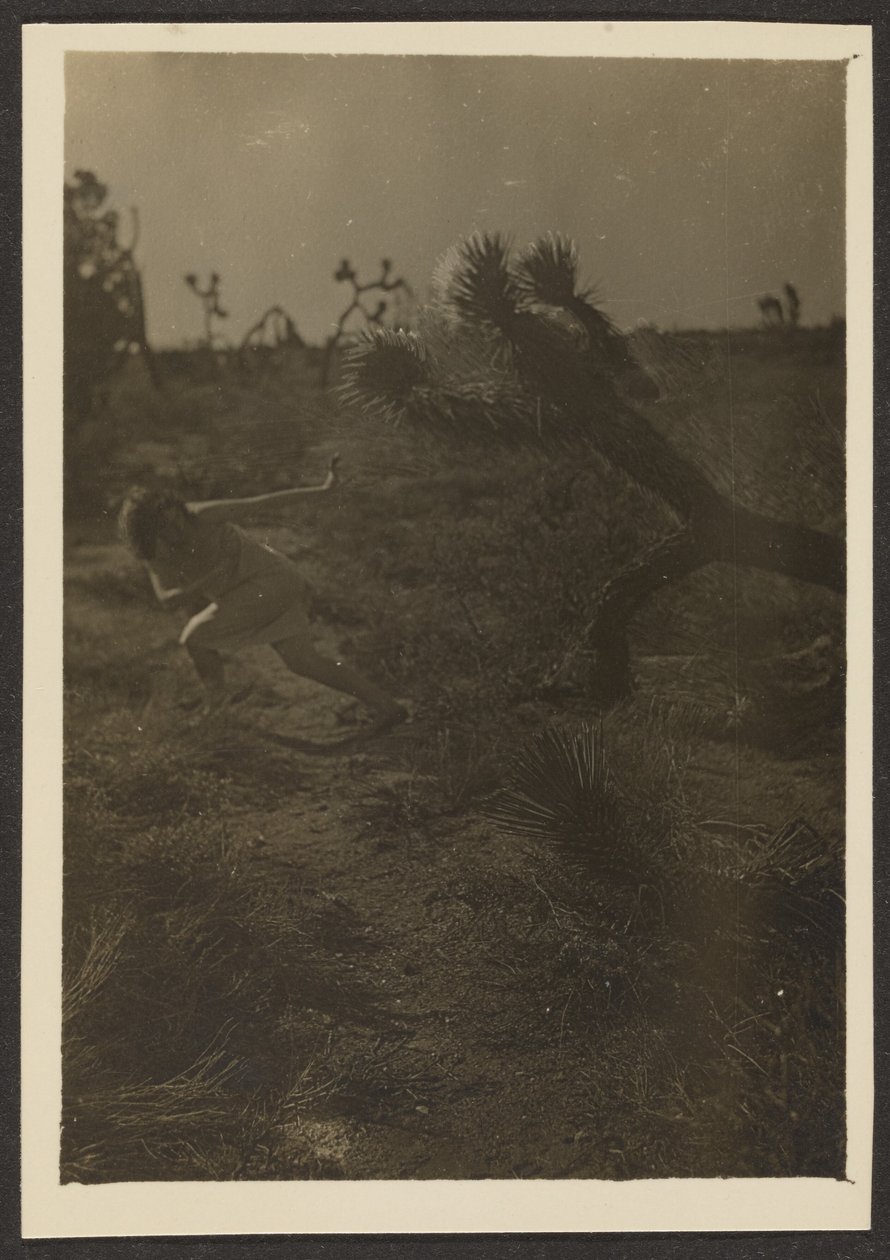 [Bogey Man of the Desert] autorstwa Louis Fleckenstein
