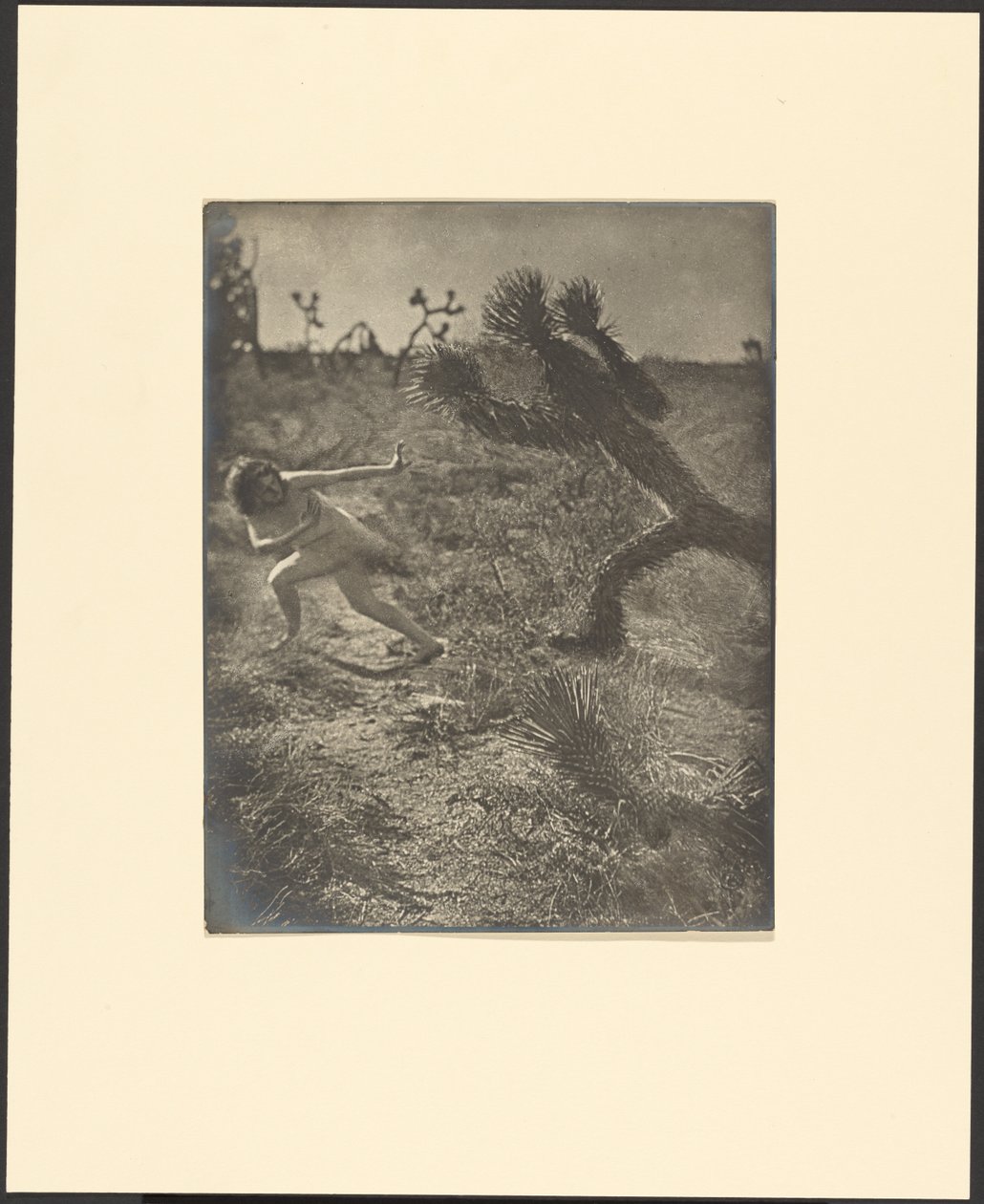 Bogey Man of the Desert autorstwa Louis Fleckenstein