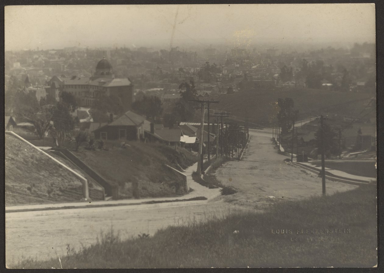 [Panorama Los Angeles] autorstwa Louis Fleckenstein